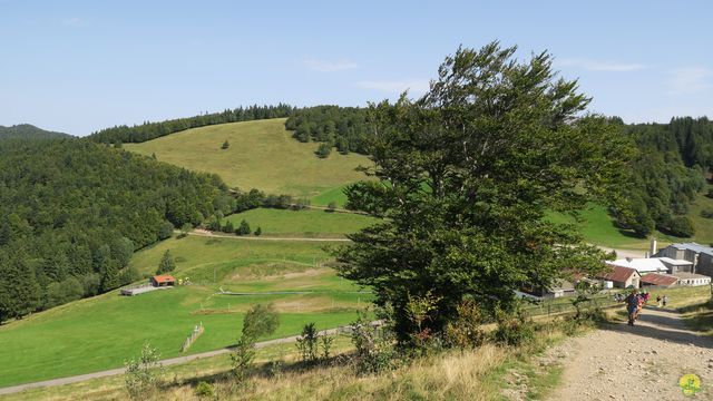 Randonnée joëlettes à Ramonchamp