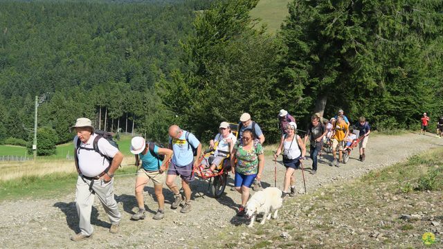 Randonnée joëlettes à Ramonchamp