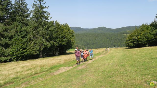 Randonnée joëlettes à Ramonchamp