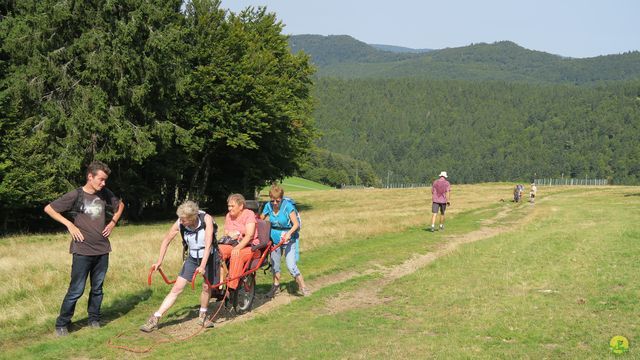 Randonnée joëlettes à Ramonchamp