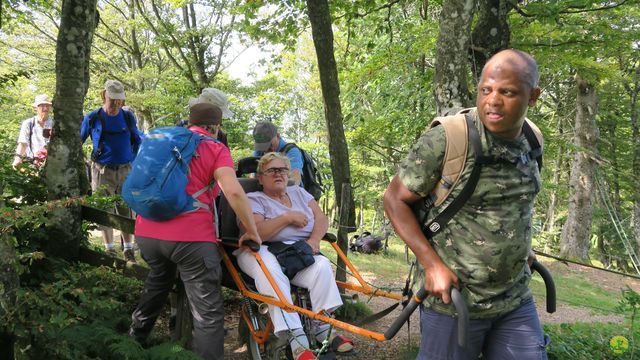 Randonnée joëlettes à Ramonchamp