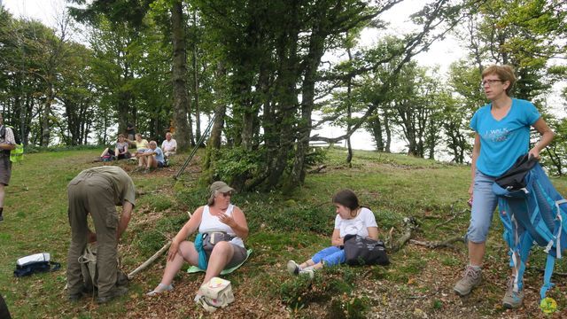 Randonnée joëlettes à Ramonchamp