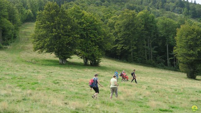 Randonnée joëlettes à Ramonchamp