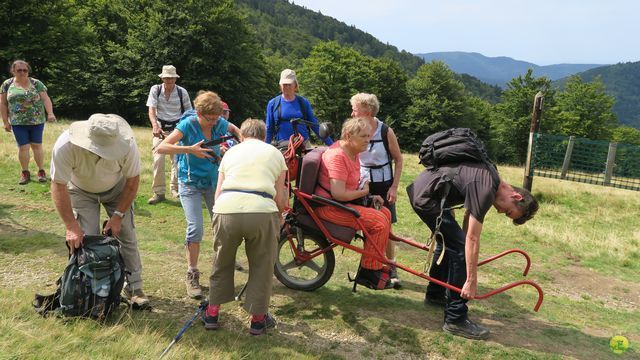 Randonnée joëlettes à Ramonchamp