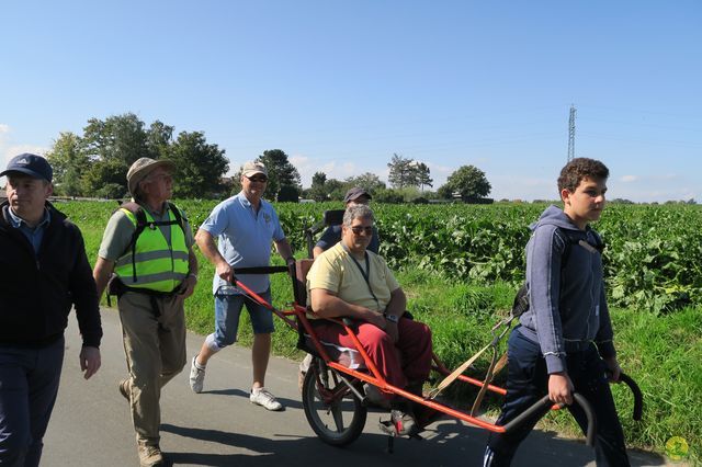 Randonnée joëlettes à Ohain