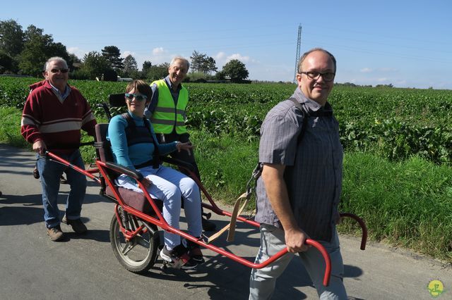 Randonnée joëlettes à Ohain