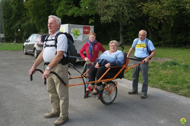 Randonnée joëlettes à Chevetogne