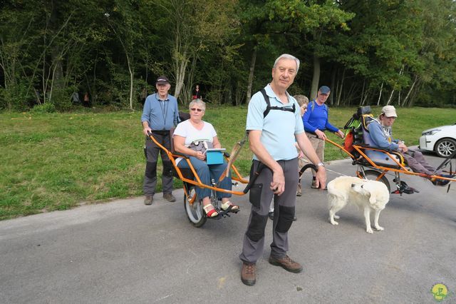 Randonnée joëlettes à Chevetogne