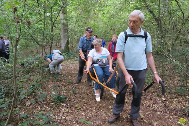 Randonnée joëlettes à Chevetogne