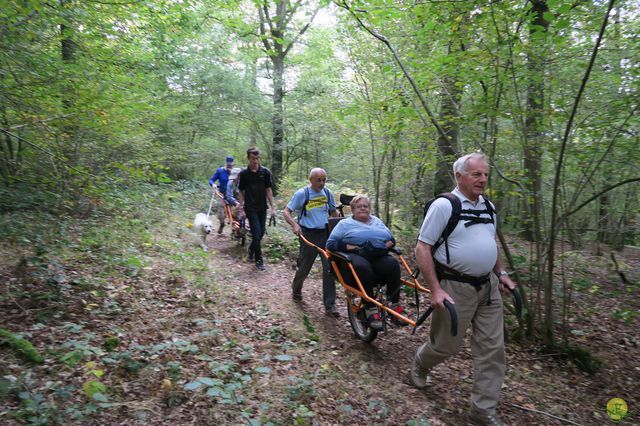 Randonnée joëlettes à Chevetogne