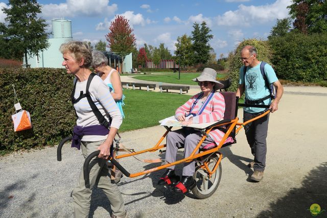 Randonnée joëlettes à Chevetogne