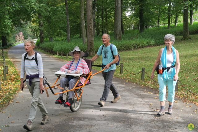 Randonnée joëlettes à Chevetogne