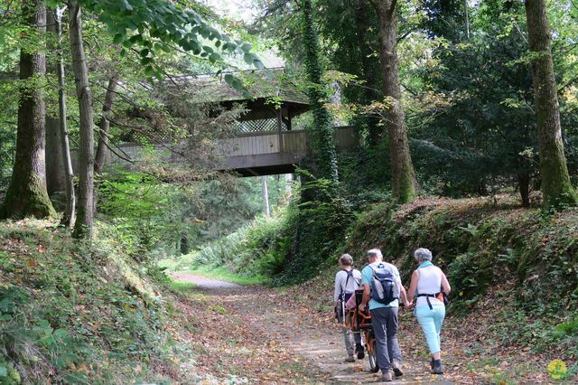 Randonnée joëlettes à Chevetogne