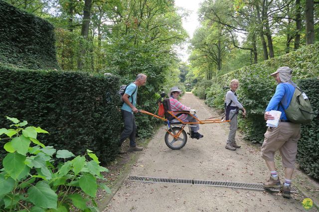 Randonnée joëlettes à Chevetogne