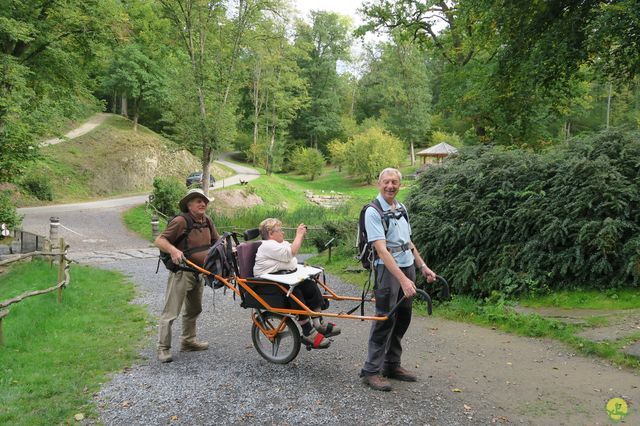 Randonnée joëlettes à Chevetogne