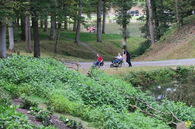 Randonnée joëlettes à Chevetogne