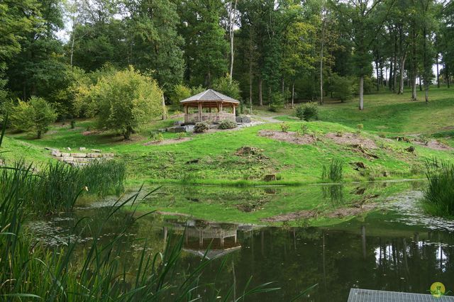 Randonnée joëlettes à Chevetogne