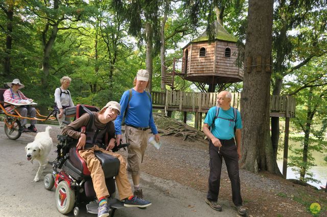 Randonnée joëlettes à Chevetogne