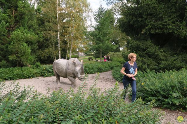 Randonnée joëlettes à Chevetogne