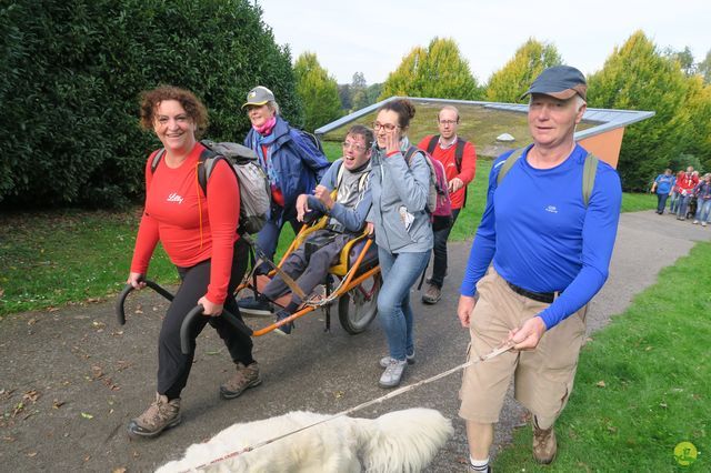 Randonnée joëlettes à Chevetogne