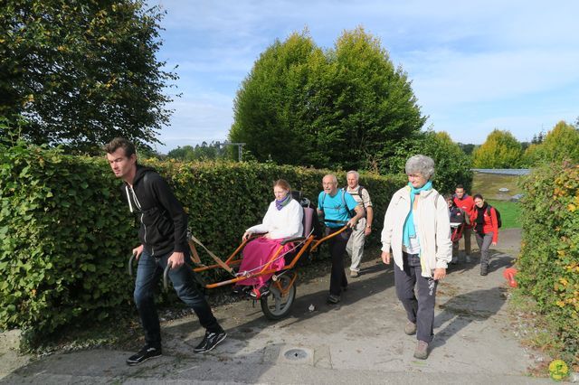 Randonnée joëlettes à Chevetogne