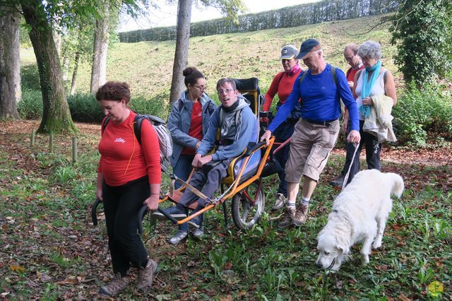 Randonnée joëlettes à Chevetogne