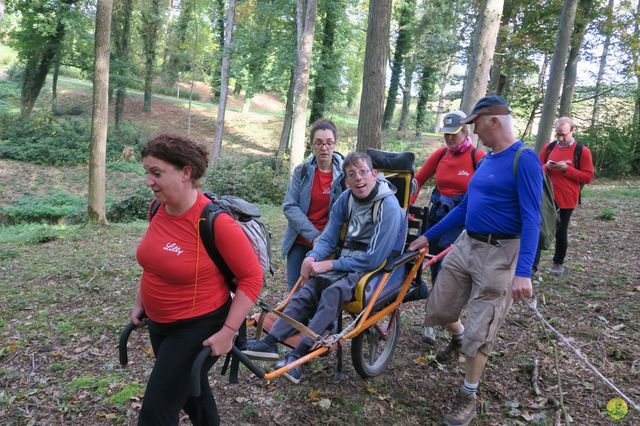 Randonnée joëlettes à Chevetogne