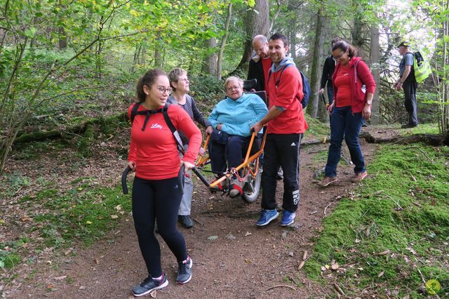 Randonnée joëlettes à Chevetogne