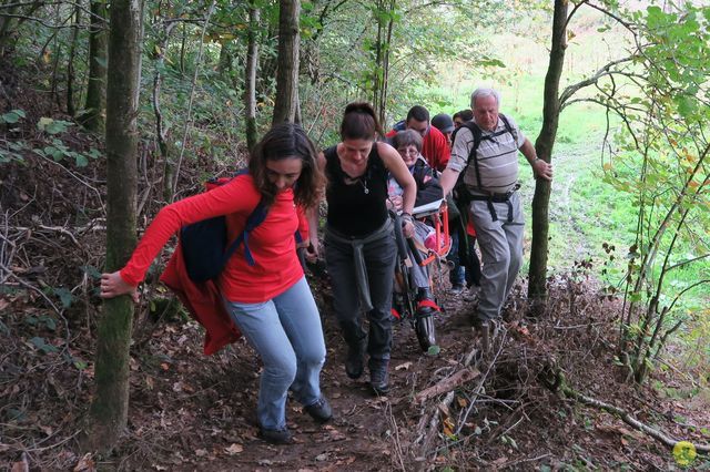 Randonnée joëlettes à Chevetogne