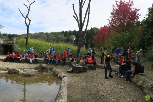 Randonnée joëlettes à Chevetogne