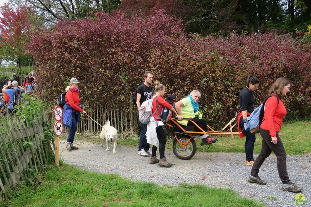 Randonnée joëlettes à Chevetogne