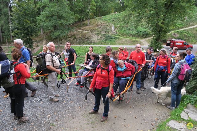 Randonnée joëlettes à Chevetogne