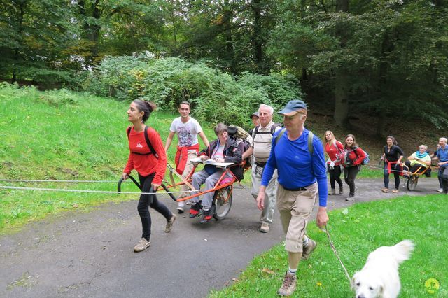 Randonnée joëlettes à Chevetogne