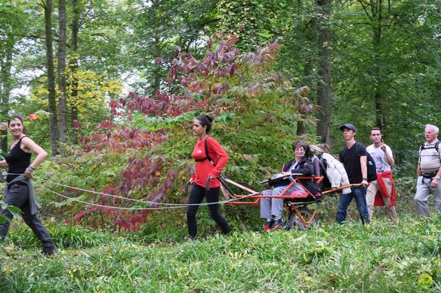 Randonnée joëlettes à Chevetogne