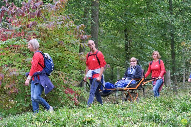 Randonnée joëlettes à Chevetogne