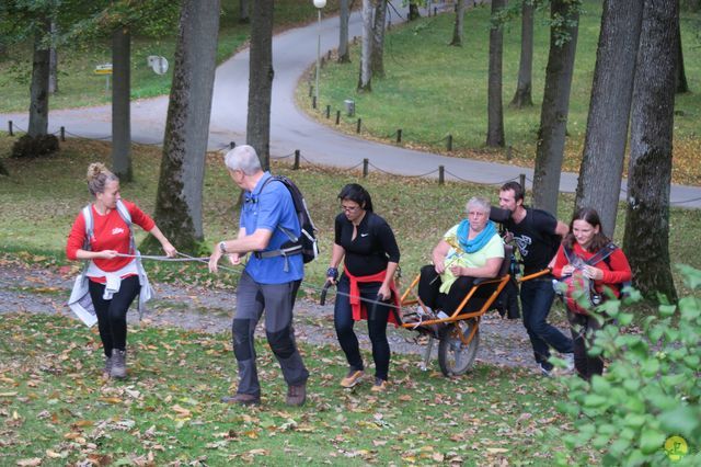 Randonnée joëlettes à Chevetogne