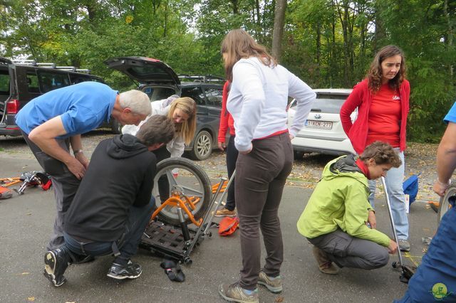 Randonnée joëlettes à Chevetogne