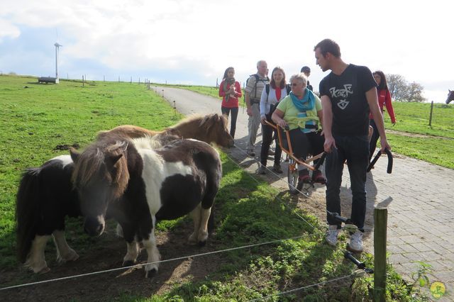 Randonnée joëlettes à Chevetogne