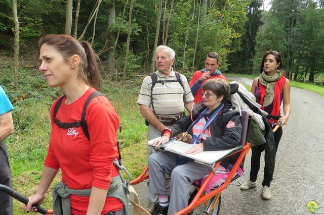 Randonnée joëlettes à Chevetogne