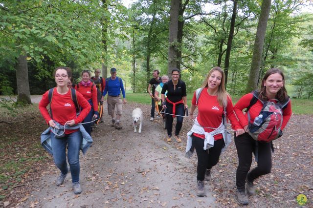 Randonnée joëlettes à Chevetogne