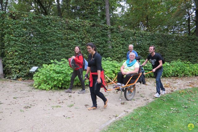 Randonnée joëlettes à Chevetogne