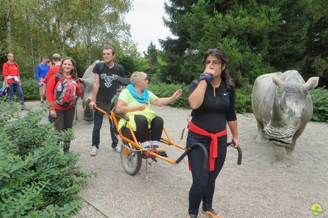 Randonnée joëlettes à Chevetogne