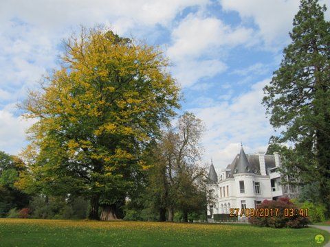 Randonnée joëlettes à Chevetogne