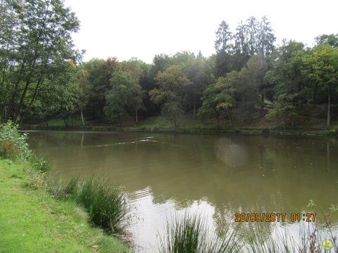 Randonnée joëlettes à Chevetogne