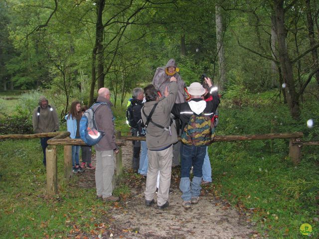 Randonnée joëlettes à Watermael-Boitsfort