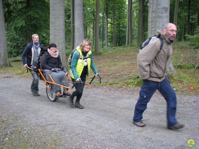 Randonnée joëlettes à Watermael-Boitsfort