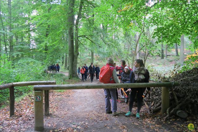 Randonnée joëlettes à Watermael-Boitsfort