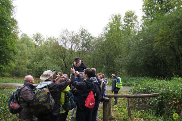 Randonnée joëlettes à Watermael-Boitsfort