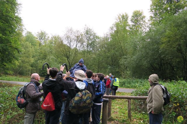 Randonnée joëlettes à Watermael-Boitsfort