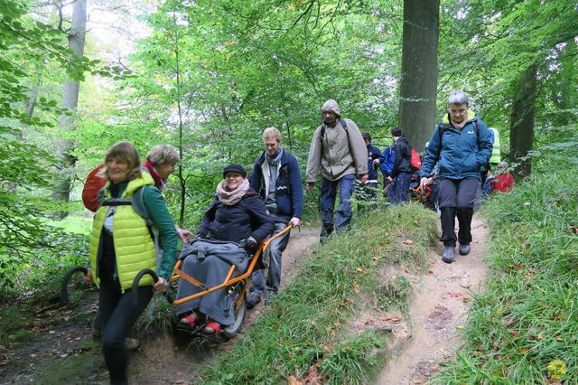 Randonnée joëlettes à Watermael-Boitsfort